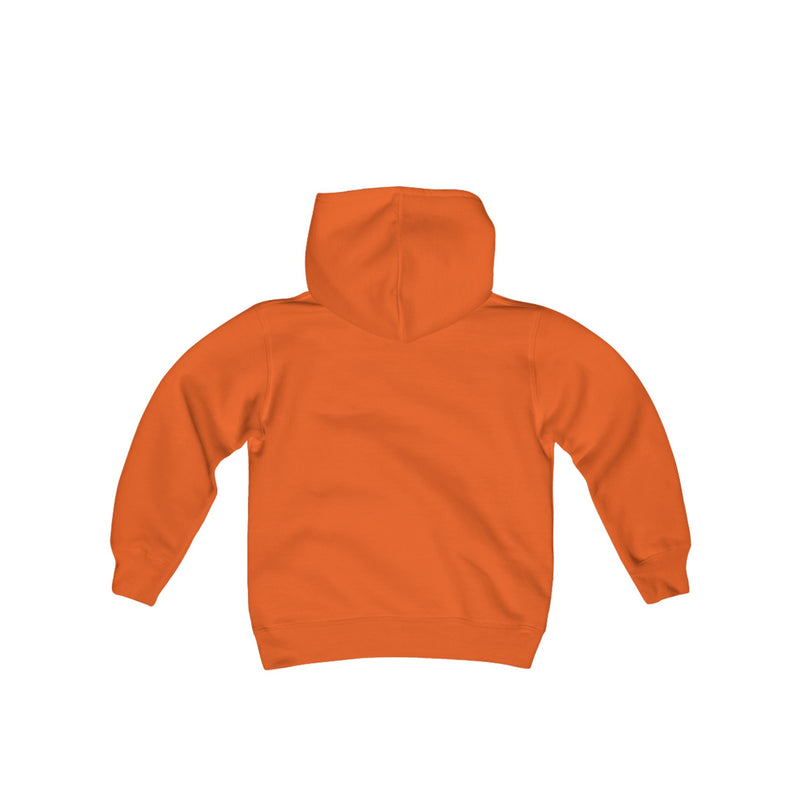 LD Lifestyle Youth Heavy Blend Hooded Sweatshirt